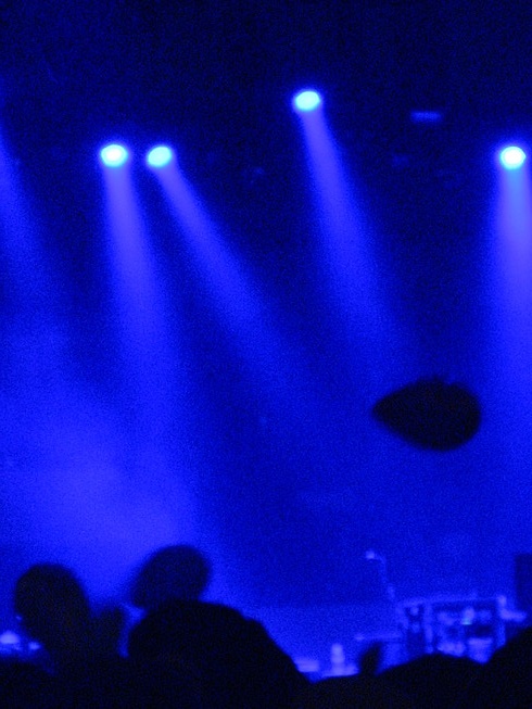IMG_2333.JPG