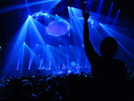 IMG_2445.JPG