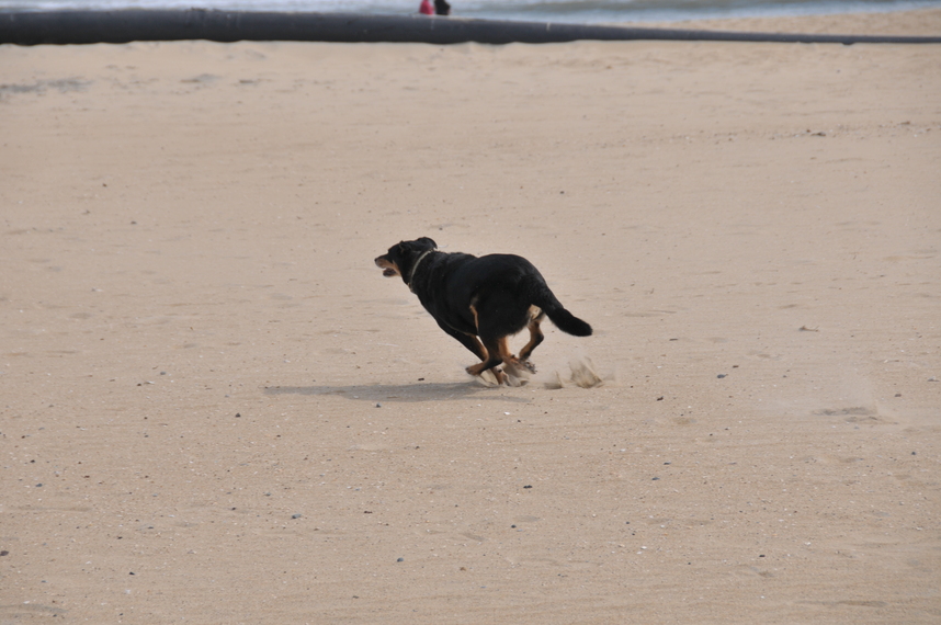 DSC_8066.JPG