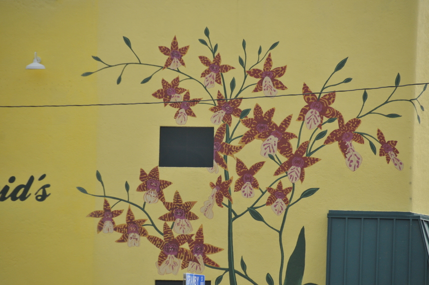DSC_8108.JPG