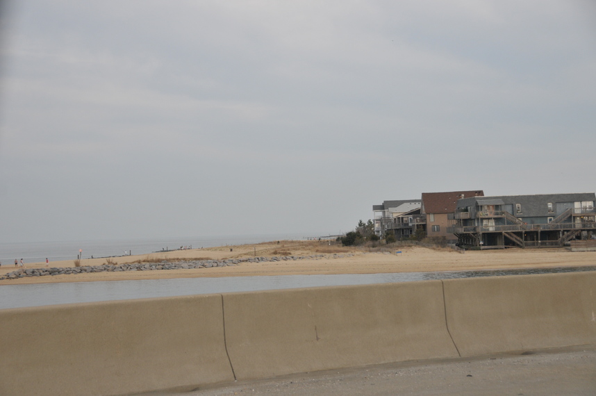 DSC_8239.JPG
