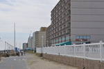 DSC_8051.JPG