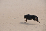 DSC_8065.JPG