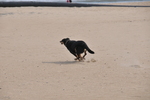 DSC_8066.JPG