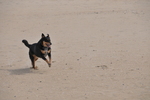 DSC_8068.JPG