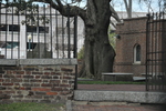 DSC_8126.JPG