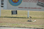 DSC_8228.JPG
