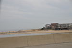 DSC_8239.JPG