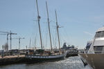 DSC_8335.JPG
